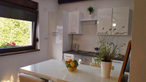 Hostal Guest House Iva