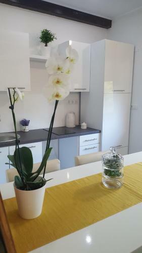 Hostal Guest House Iva