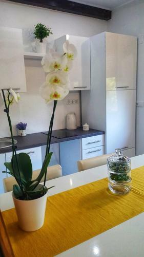 Hostal Guest House Iva