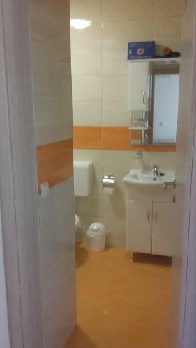 Apartment Pavle?i?