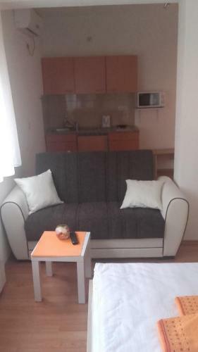 Apartment Pavle?i?