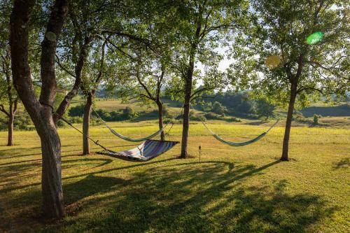 Agroturismo Farmstay Koti?