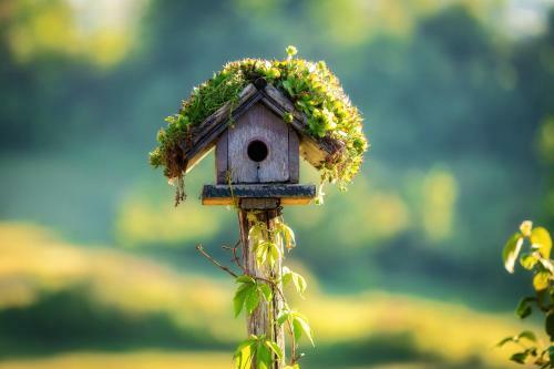 Agroturismo Farmstay Koti?