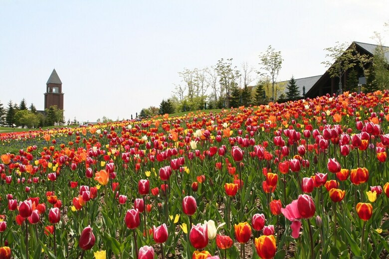 Apartamento Sapporo Kitahiroshima Classe Hotel