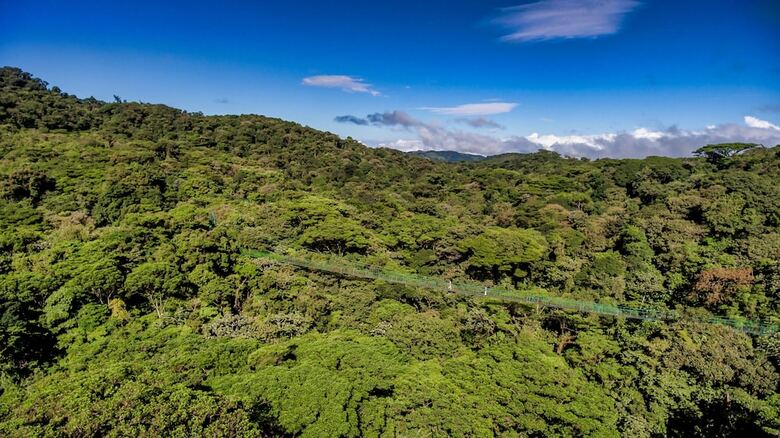 Hotel Ficus - Monteverde