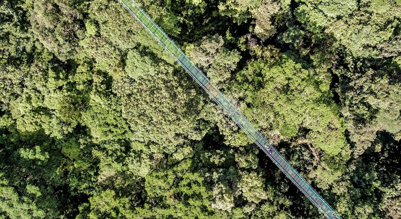 Hotel Ficus - Monteverde
