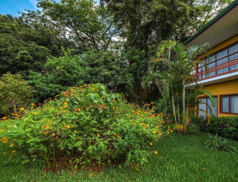 Hotel Ficus - Monteverde