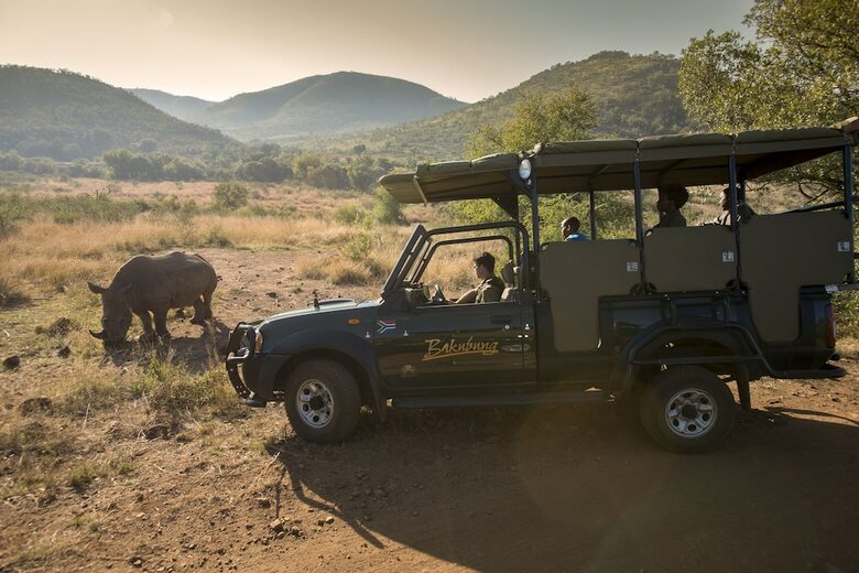 Posada Bakubung Bush Lodge