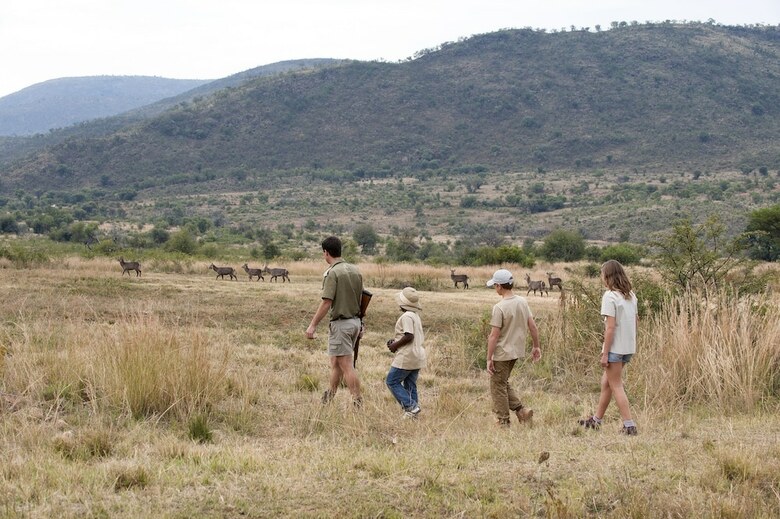 Posada Bakubung Bush Lodge
