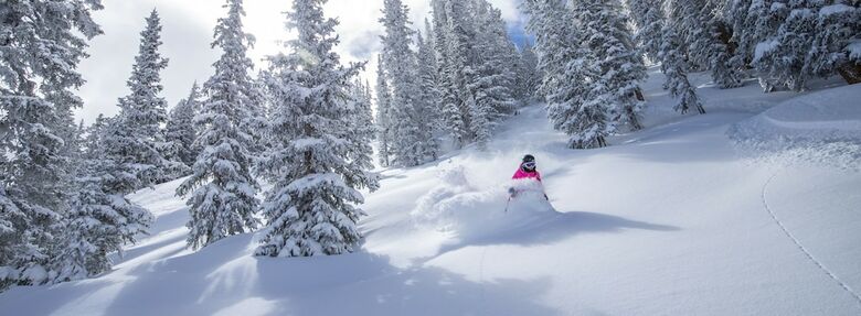 Hotel Wildwood Snowmass