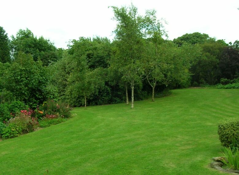Bed & Breakfast Little Downderry