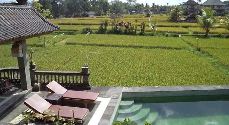 Hotel Ala's Green Lagoon