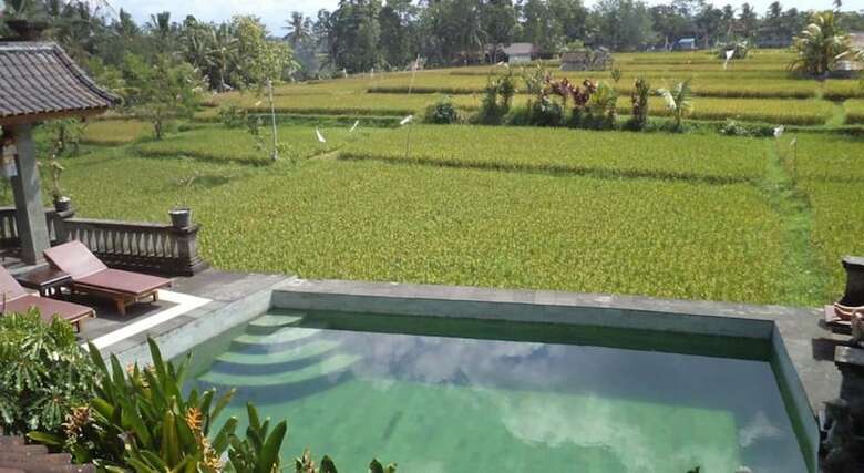 Hotel Ala's Green Lagoon