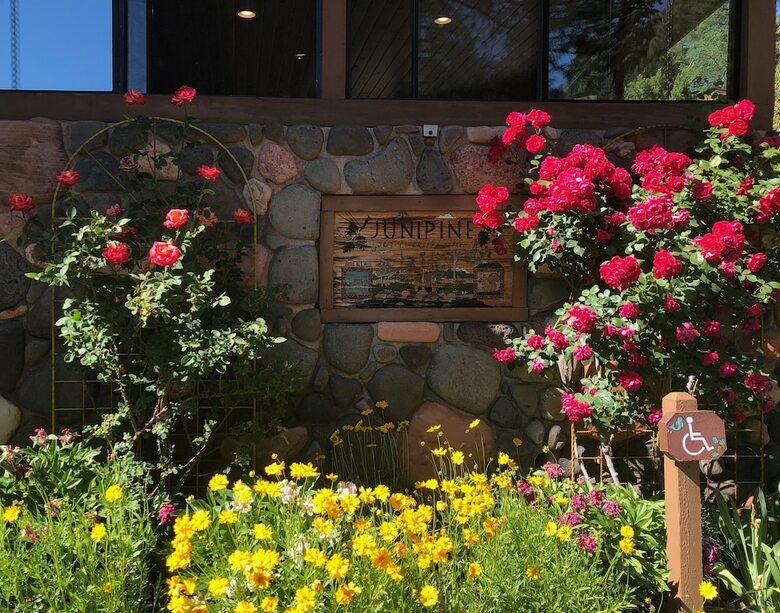 Junipine Resort
