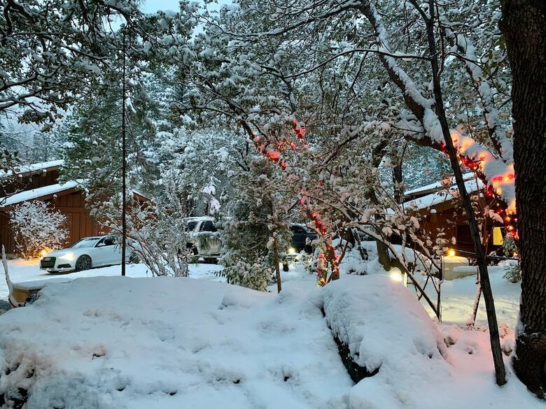 Junipine Resort