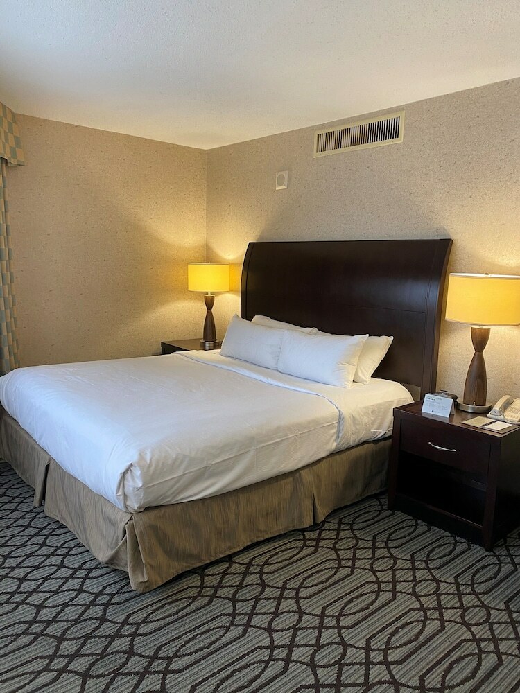 Doubletree By Hilton Hotel St. Paul Downtown