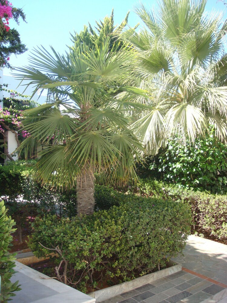 Hotel Anna Maria Village