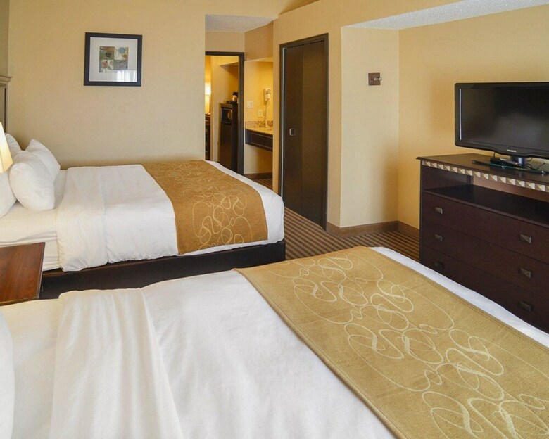 Hotel Comfort Suites Dfw Airport