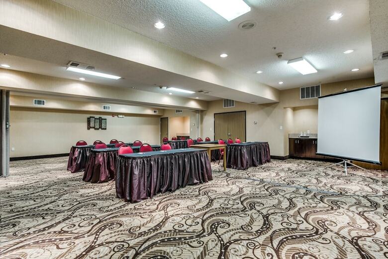Hotel Comfort Suites Dfw Airport