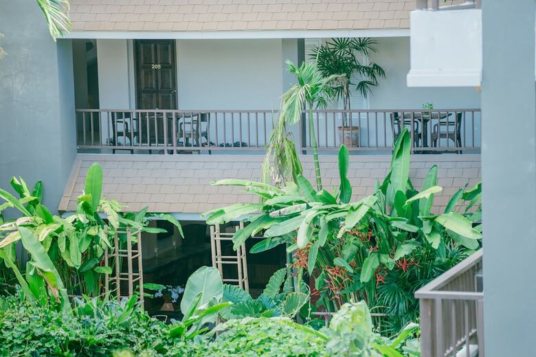 Hotel The Opium Chiang Mai