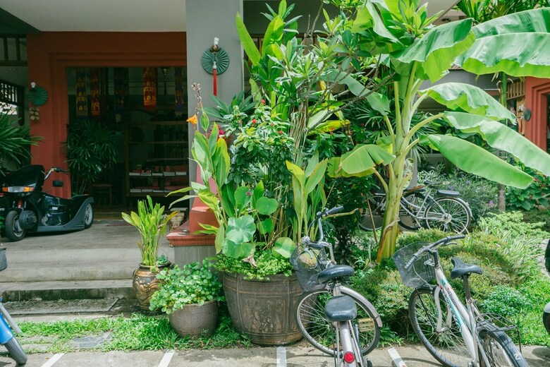 Hotel The Opium Chiang Mai