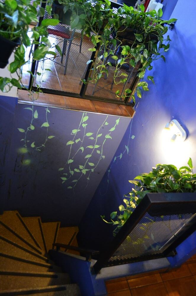 Hostal Garden House Hostel