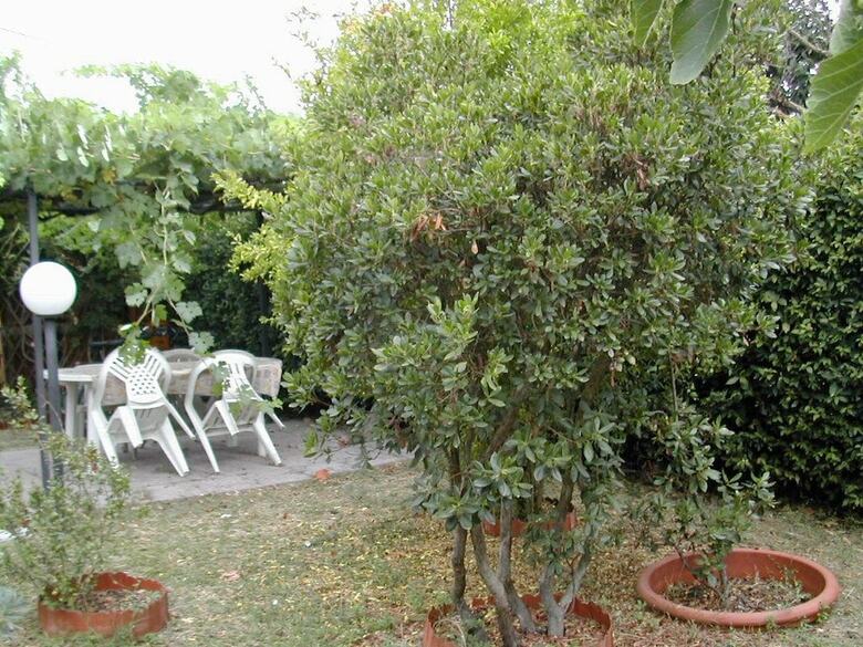 Posada Locanda Del Principato