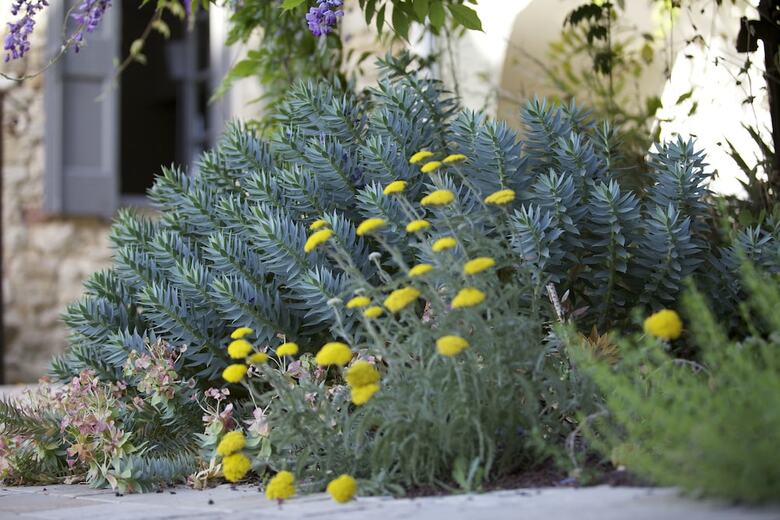 La Maison D'ulysse Small Luxury Hotel