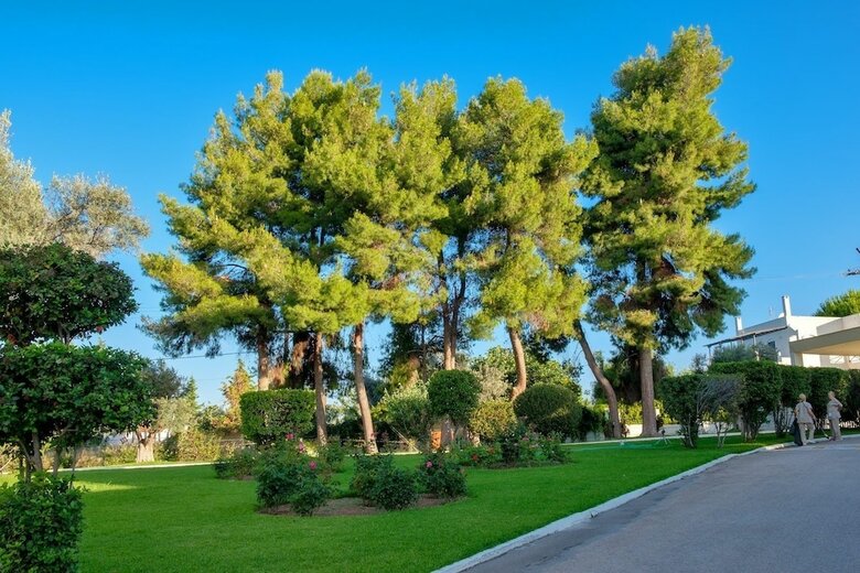 Hotel Bomo Palmariva Beach