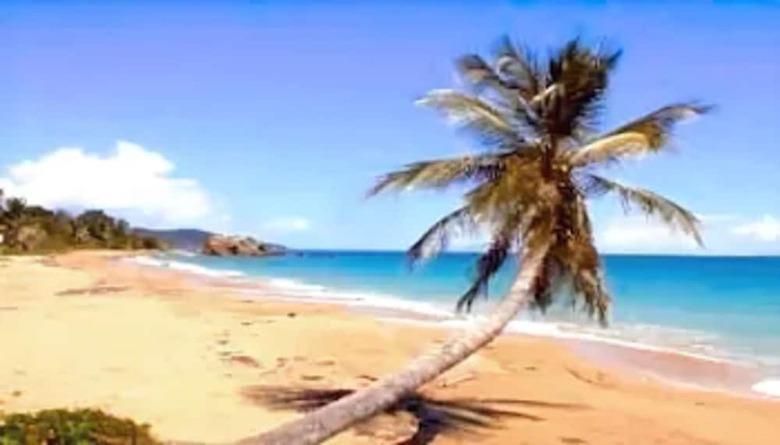 Hotel Parador Palmas de Luc�a