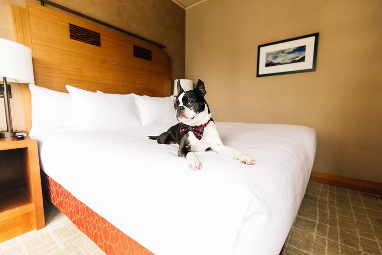 Hotel Grand Hyatt Seattle