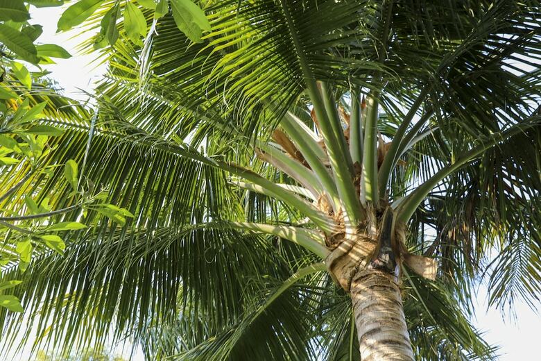 Hotel The Lombok Lodge