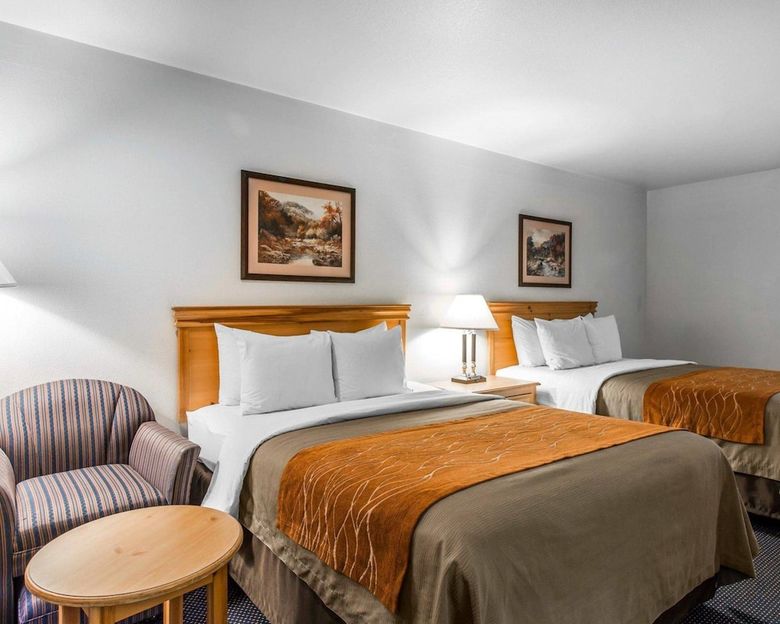 Hotel Comfort Inn & Suites Sequoia/kings Canyon