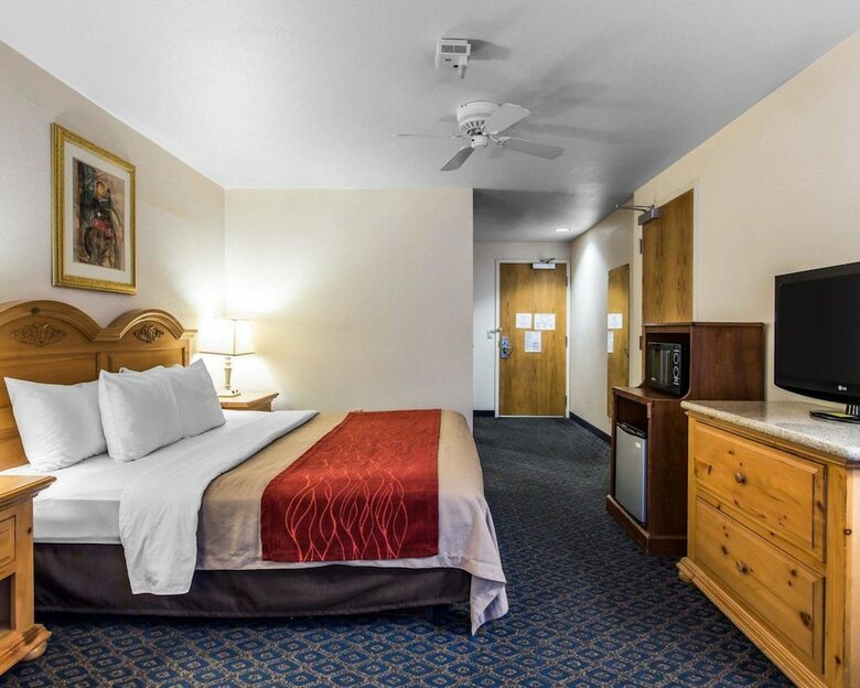 Hotel Comfort Inn & Suites Sequoia/kings Canyon