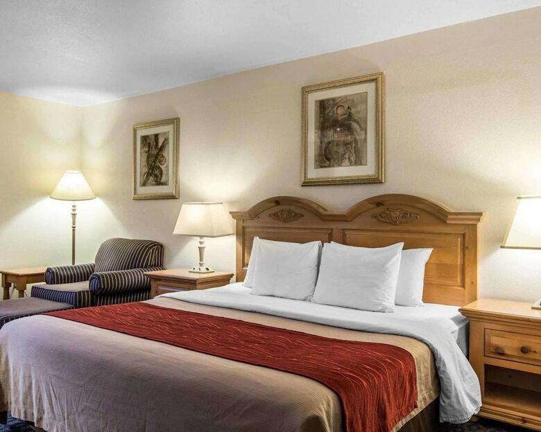 Hotel Comfort Inn & Suites Sequoia/kings Canyon