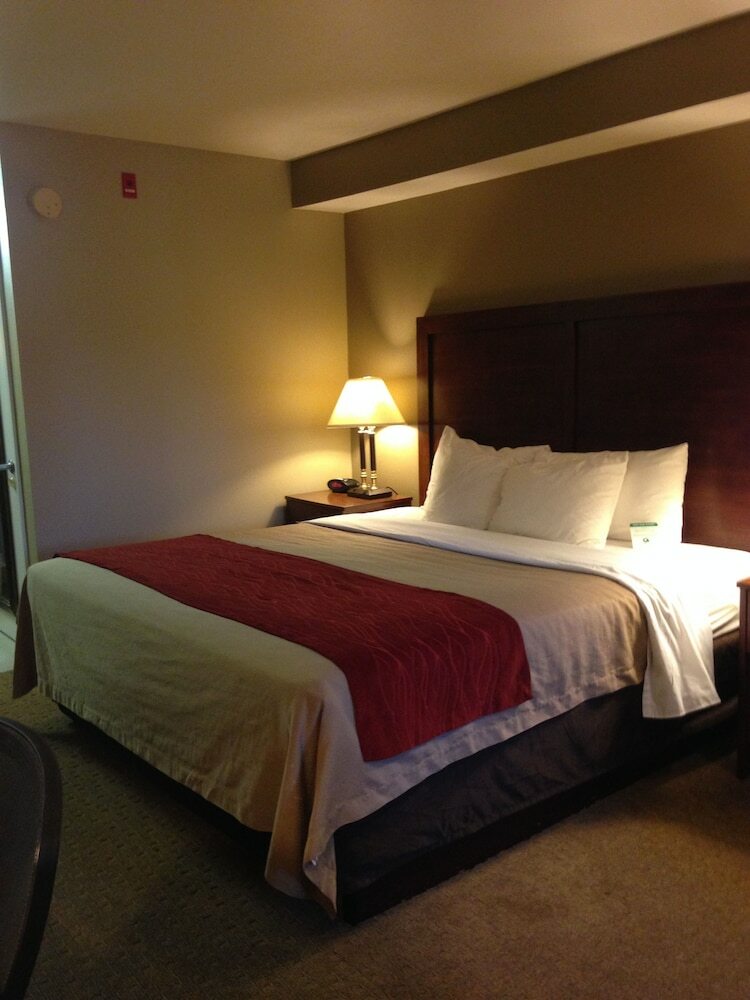 Hotel Comfort Inn & Suites Sequoia/kings Canyon