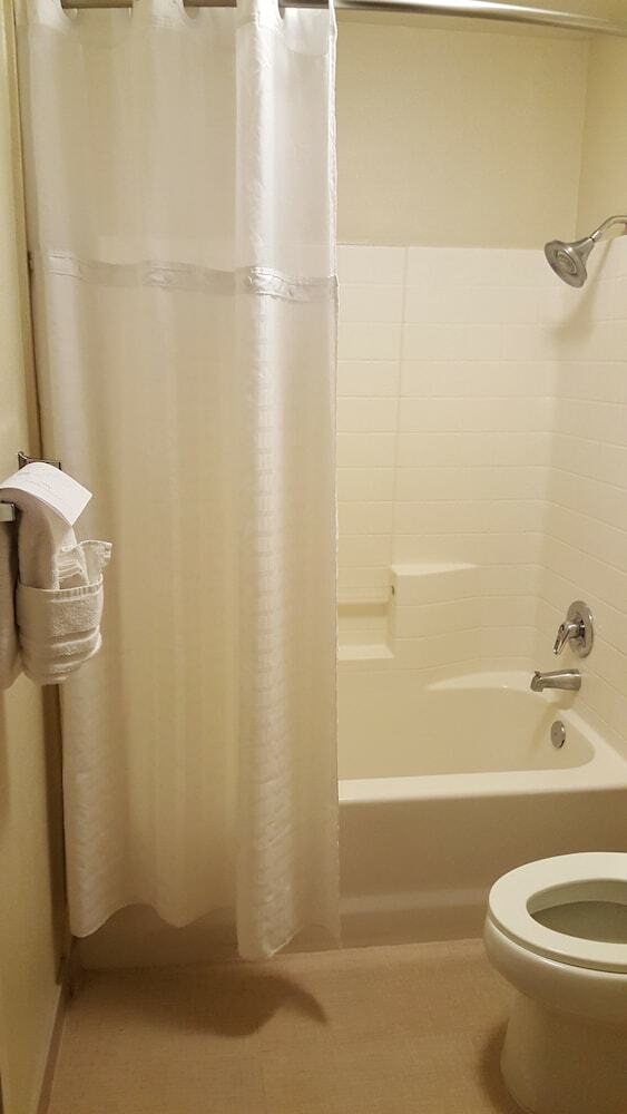 Hotel Comfort Inn & Suites Sequoia/kings Canyon