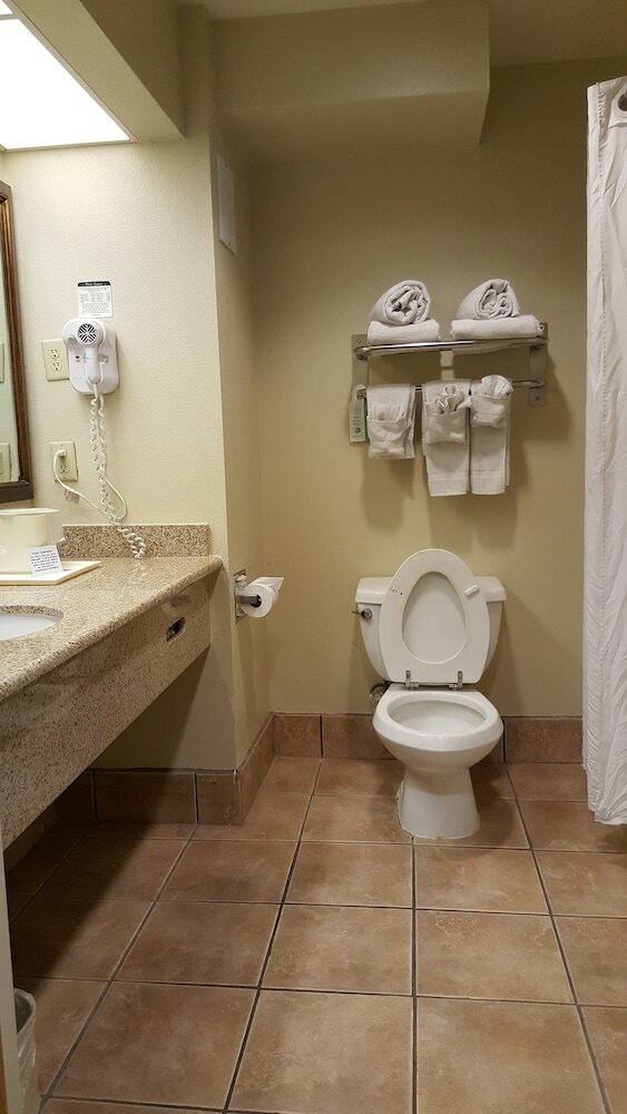 Hotel Comfort Inn & Suites Sequoia/kings Canyon