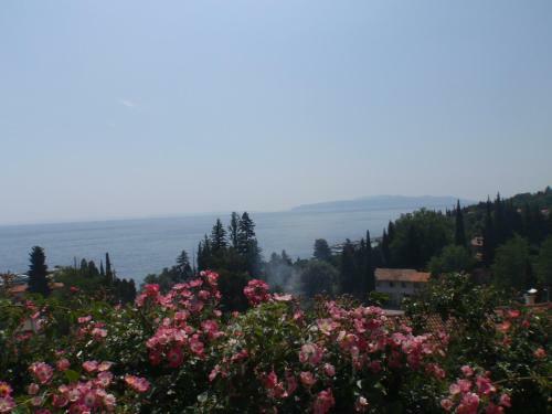 Apartamentos Villa Mihaela