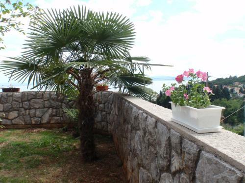 Apartamentos Villa Mihaela