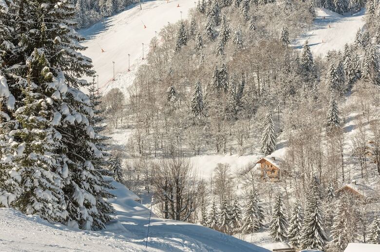 Residence Pierre & Vacances Les Gemeaux
