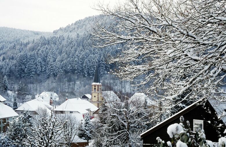 Hotel Hostellerie La Cheneaudi�re & Spa