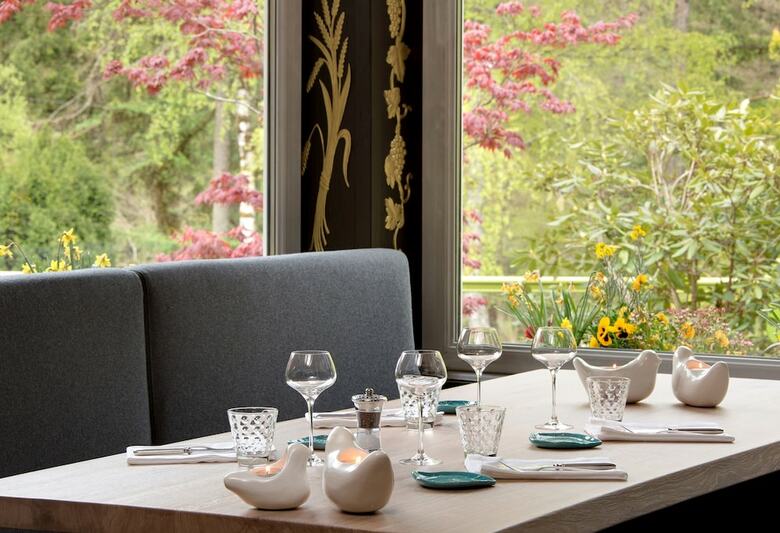 Hotel Hostellerie La Cheneaudi�re & Spa
