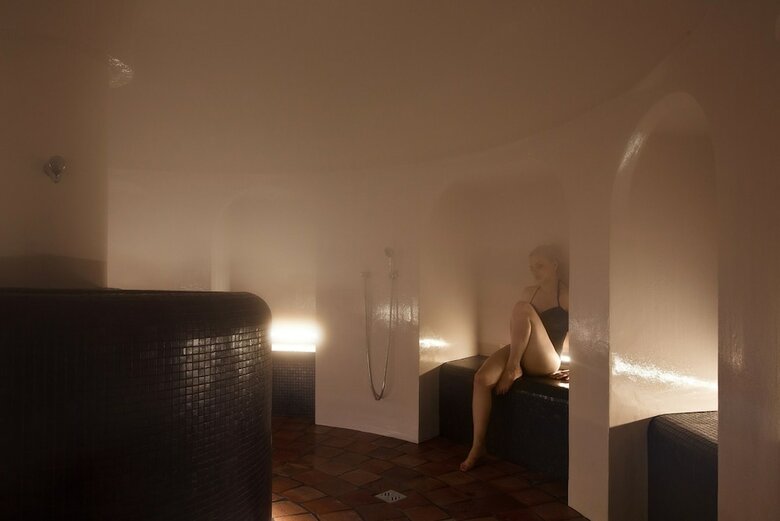 Hotel Hostellerie La Cheneaudi�re & Spa