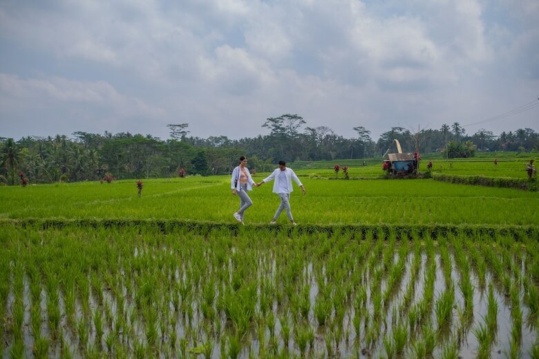 Hotel Puri Wulandari A Boutique Resort And Spa
