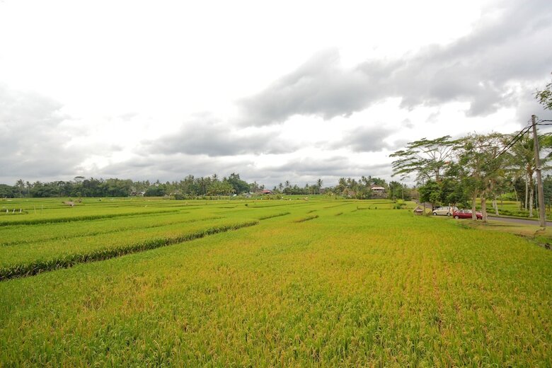 Hotel Puri Wulandari A Boutique Resort And Spa