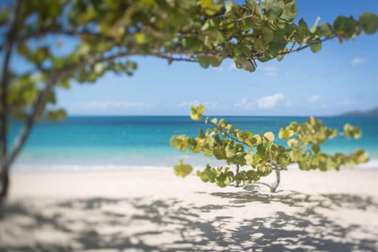 Hotel Spice Island Beach Resort