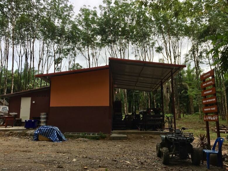 Hotel Khao Sok Evergreen House