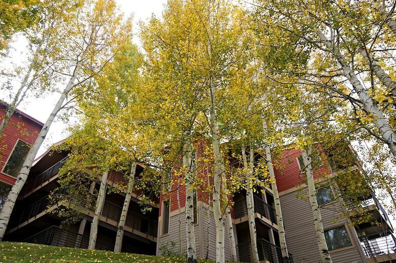 The Enclave At Snowmass