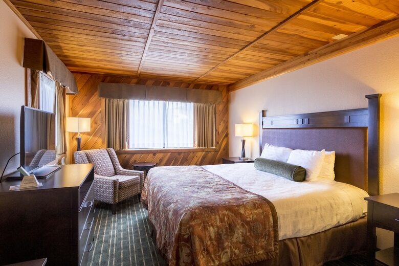 Hotel Best Western Plus Tree House